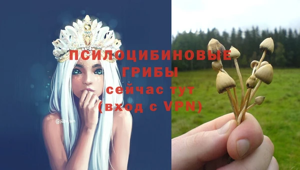 бутират Бронницы